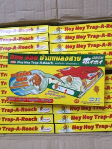 泰国hoy hoy蟑螂屋 诱捕小强屋 干净卫生不玷污