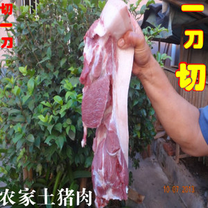 新鲜土猪肉视频前腿自养自杀农家肉一刀切夹短深山星月图片