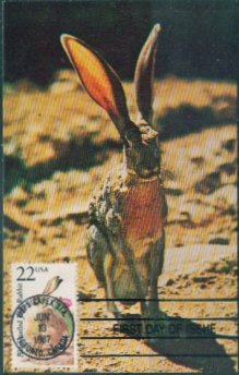 PA4139美国1987州动物野兔自制极限片见详见