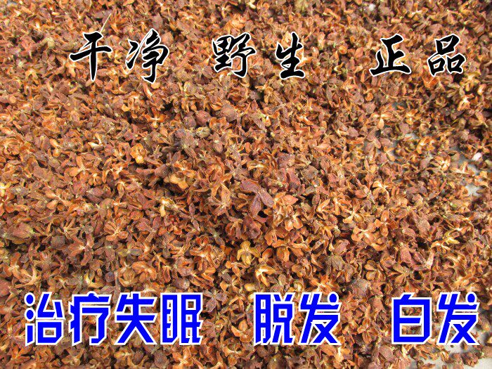 野生柏壳 侧柏壳 柏壳枕头 <em>治白发</em>少白头脱发失