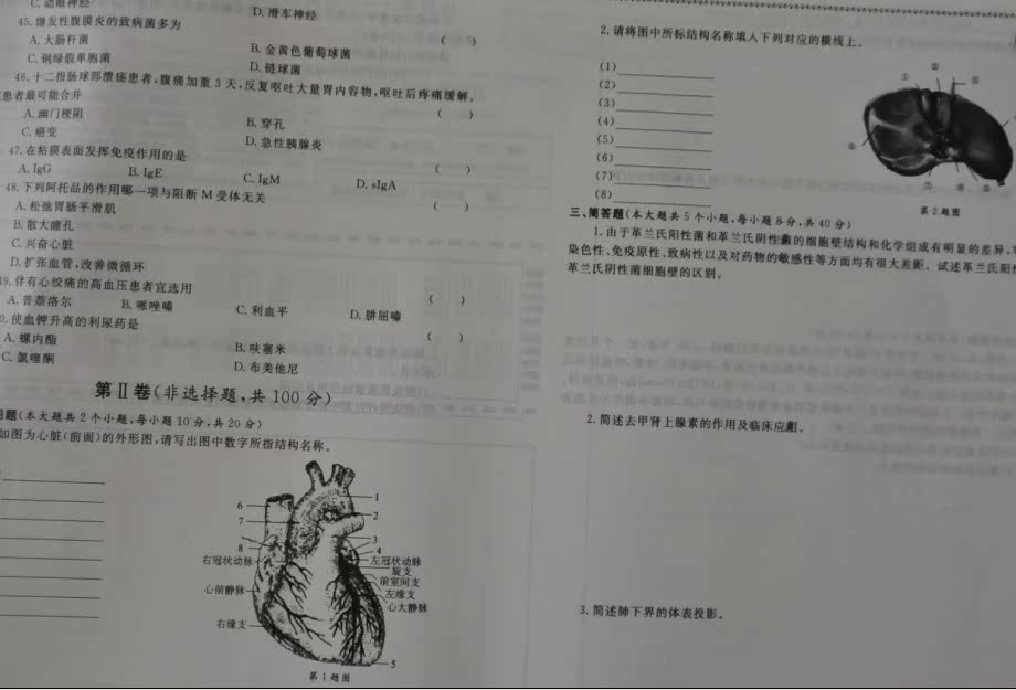 2014年山东省对口高职考试春季高考护理类模