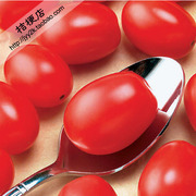 首页-【<em>桔梗</em>店】进口香草及草花种子-淘宝网