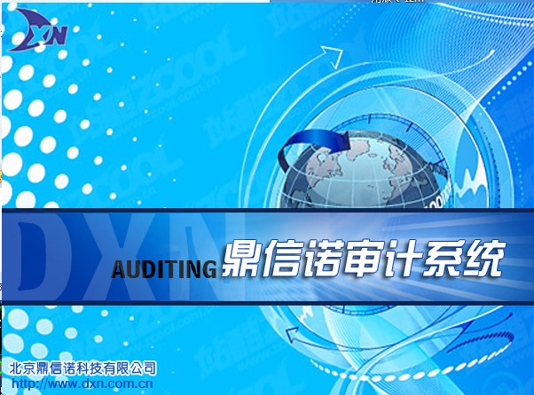 鼎信诺审计软件5000 鼎信诺5000 单机版 带US