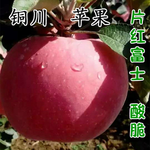 红富士苹果新鲜水果陕西铜川特产开胃好吃的果