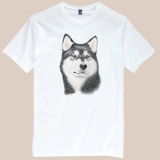 出售各种宠物图案T恤 犬迷服饰6