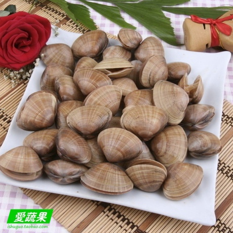 【爱蔬果】鲜活水产 贝类 黄蚬子 青柳蛤 1kg 北