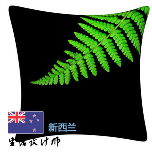 MOE旅行文化新西兰NewZealand国草银蕨KU