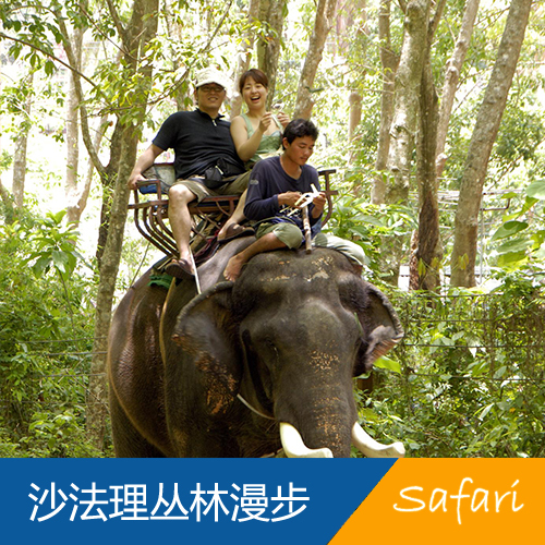 沙发里骑大象丛林漫步一日游-泰国普吉岛景点