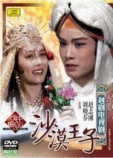 越剧沙漠王子中唱盒装2DVD 赵志刚、周晓芬优