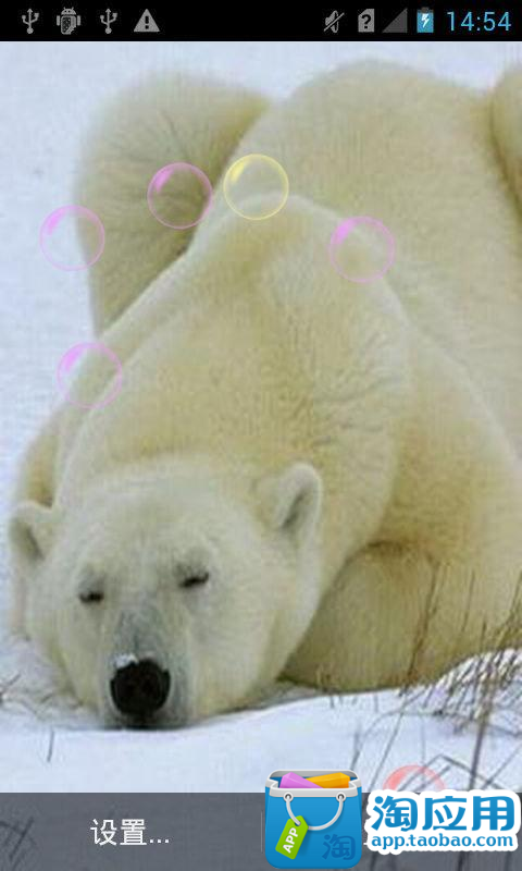 北极熊动物动态壁纸