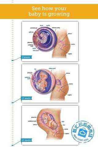 【免費健康App】宝宝中心孕期指南-APP點子