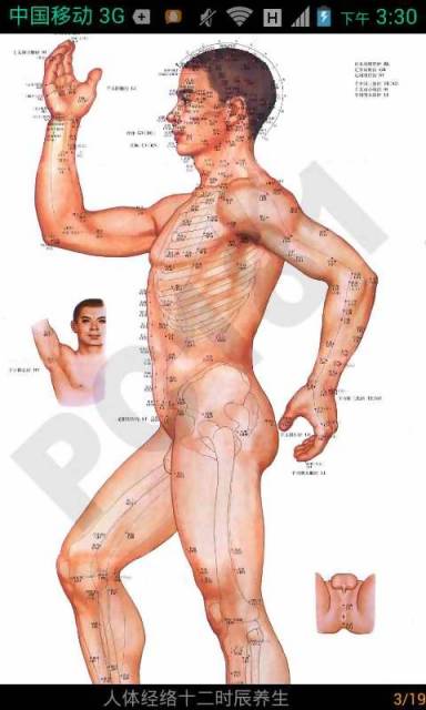 【免費健康App】人体经络养生图解-APP點子