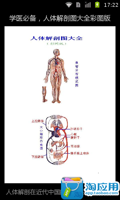 【免費教育App】学医必备，人体解剖图大全彩图版-APP點子