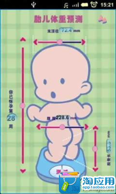 胎儿体重预测