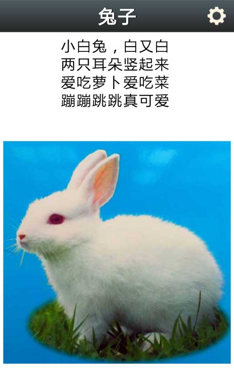 儿童动物启蒙学习