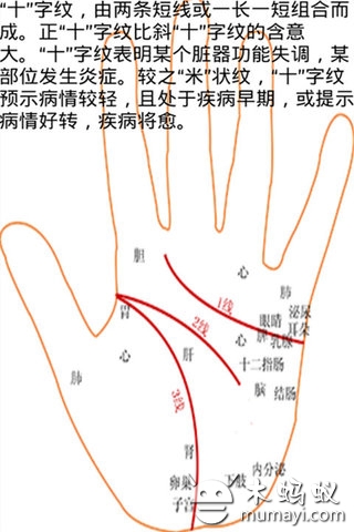 【免費健康App】掌纹看性-APP點子