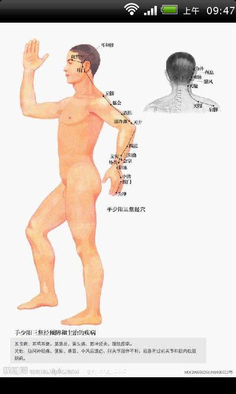 【免費健康App】中医健康养生全身经络穴位高清图-APP點子