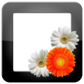 电子相框 | Photo Frame Pro LOGO-APP點子