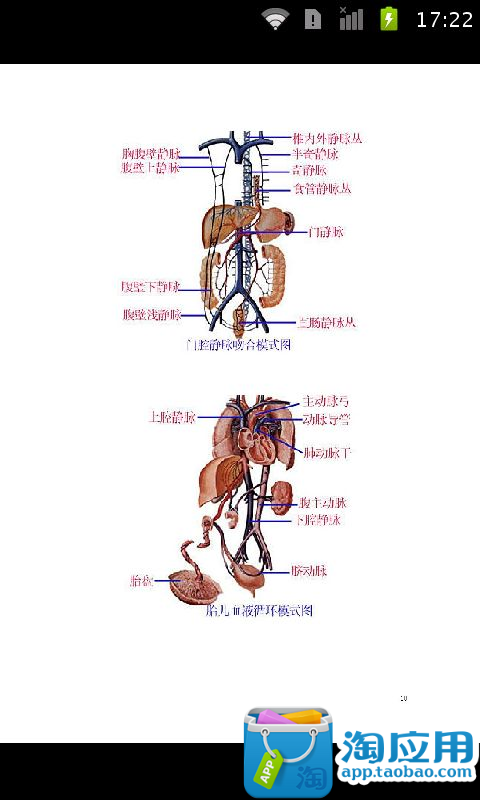 【免費教育App】学医必备，人体解剖图大全彩图版-APP點子