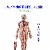 学医必备，人体解剖图大全彩图版 教育 App LOGO-APP開箱王