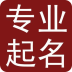 宝宝起名常识 LOGO-APP點子