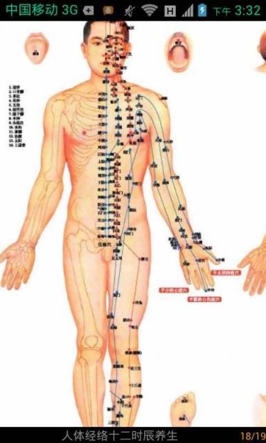 人体经络养生图解