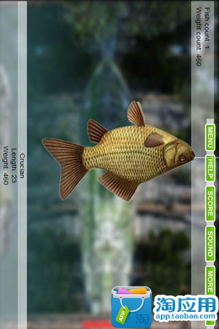 免費下載動作APP|精品湖边钓鱼 app開箱文|APP開箱王