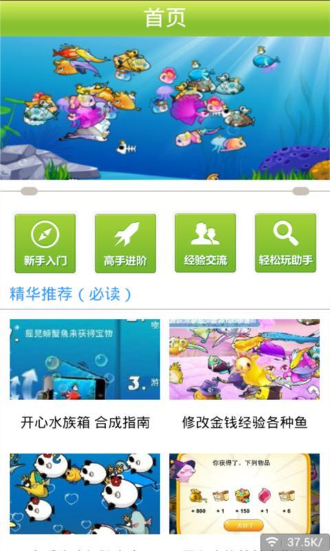 开心水族箱精品攻略