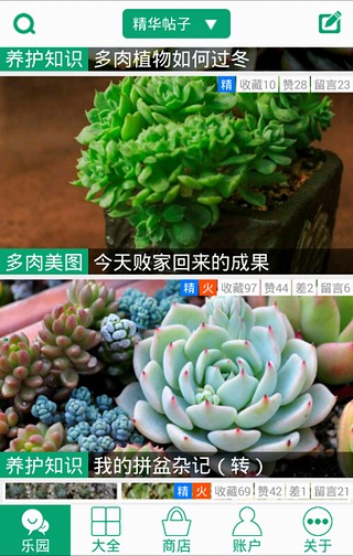 【免費社交App】多肉植物-APP點子