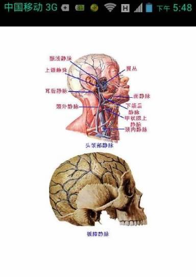 史上最全4D人体解剖图谱