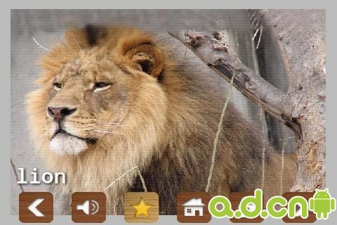 免費下載娛樂APP|儿童动物园的动物声音及照片 app開箱文|APP開箱王