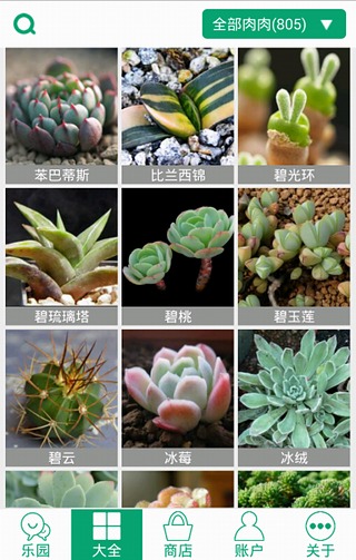 【免費社交App】多肉植物-APP點子