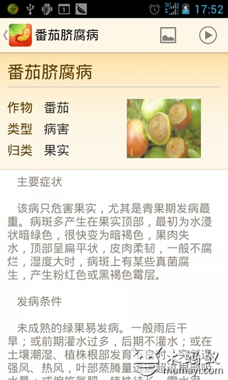 【免費攝影App】智慧农业-病虫害防治与诊断-APP點子