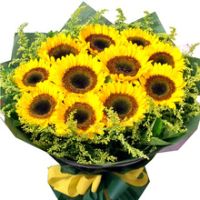 【向日葵花束】最新最全向日葵花束 产品参考