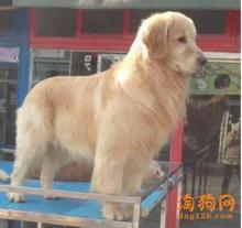 【健康证明】最新最全健康证明 产品参考信息