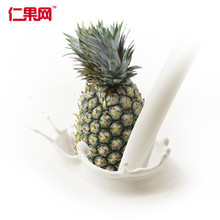 【牛奶凤梨】最新最全牛奶凤梨返利优惠