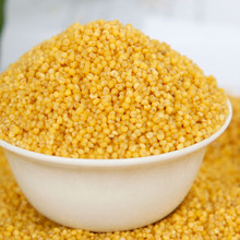 【沁洲黄小米】最新最全沁洲黄小米 产品参考