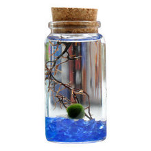 【海藻球】最新最全海藻球 产品参考信息_一淘搜索