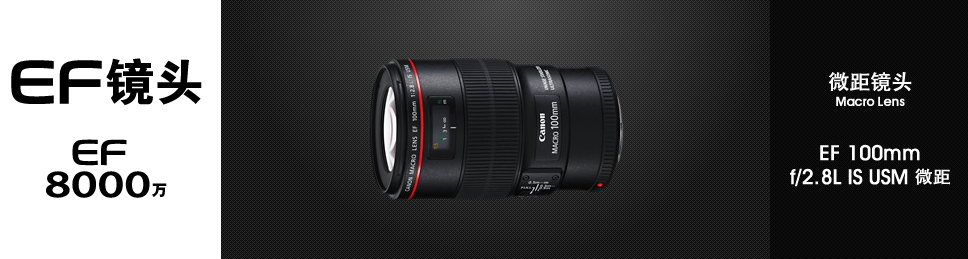 canon 佳能 ef 100mm f/2.8l is usm 微距 镜头