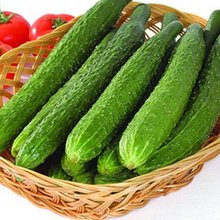 【大黄瓜种子】_绿植园艺价格_最新最全绿植