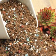 【多肉植物营养土】最新最全多肉植物营养土搭