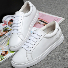 【刘诗雯底板】最新最全刘诗雯底板搭配优惠_