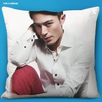 【霍建华抱枕】_正品海淘特卖代购-淘宝全球购