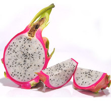 【火龙果 白肉 白心】最新最全火龙果 白肉 白心