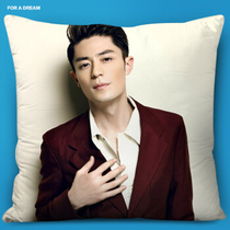 【霍建华抱枕】_正品海淘特卖代购-淘宝全球购