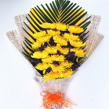 【菊花花束】_绿植园艺价格_最新最全绿植园艺搭配优惠_一淘网