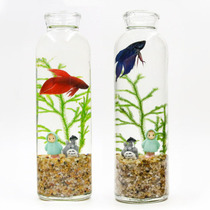 【桌面生态瓶 鱼】_正品海淘特卖代购-淘宝全