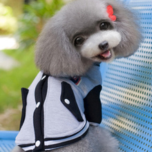 【小型灰色贵宾犬】最新最全小型灰色贵宾犬搭