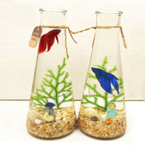 【桌面生态瓶 鱼】_正品海淘特卖代购-淘宝全