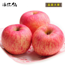 【烟台富士苹果80】最新最全烟台富士苹果80